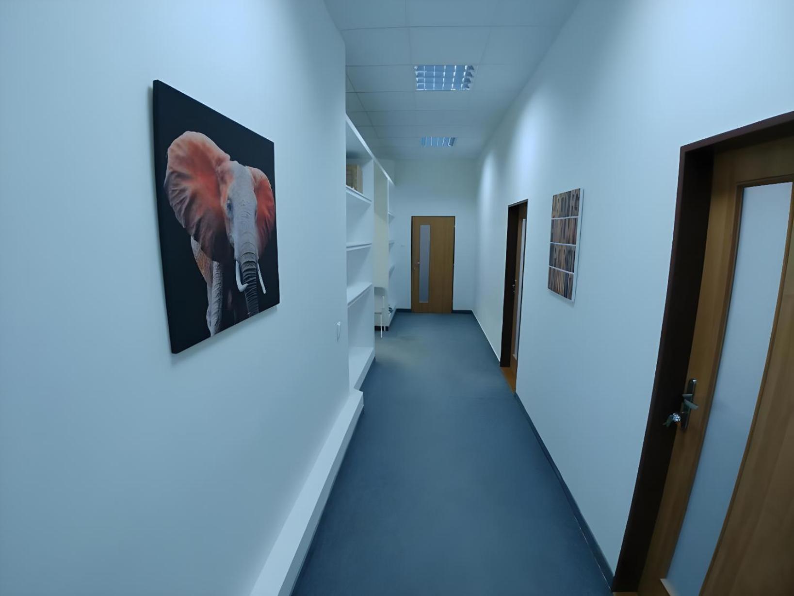 Rooms Veveri - Uvoz, 10 Min Peski Do Centru Бърно Екстериор снимка